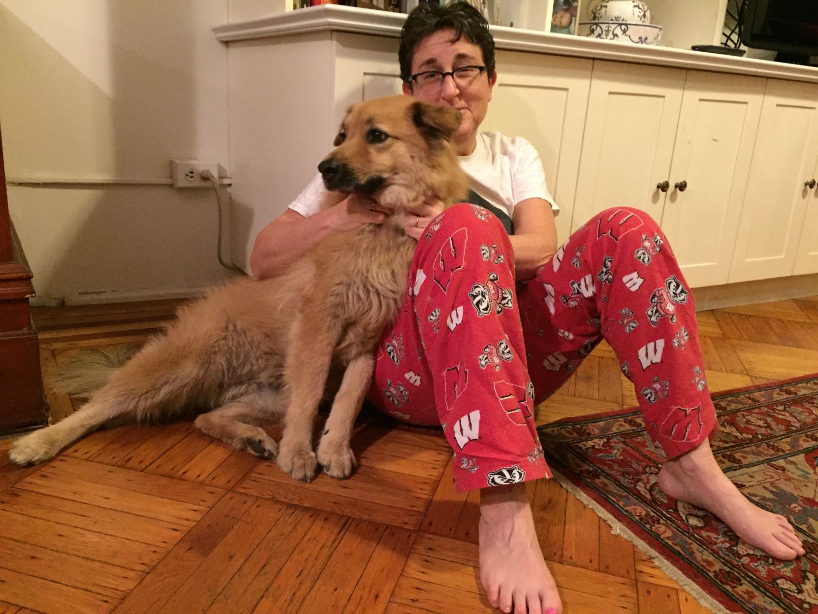 Rescue dog